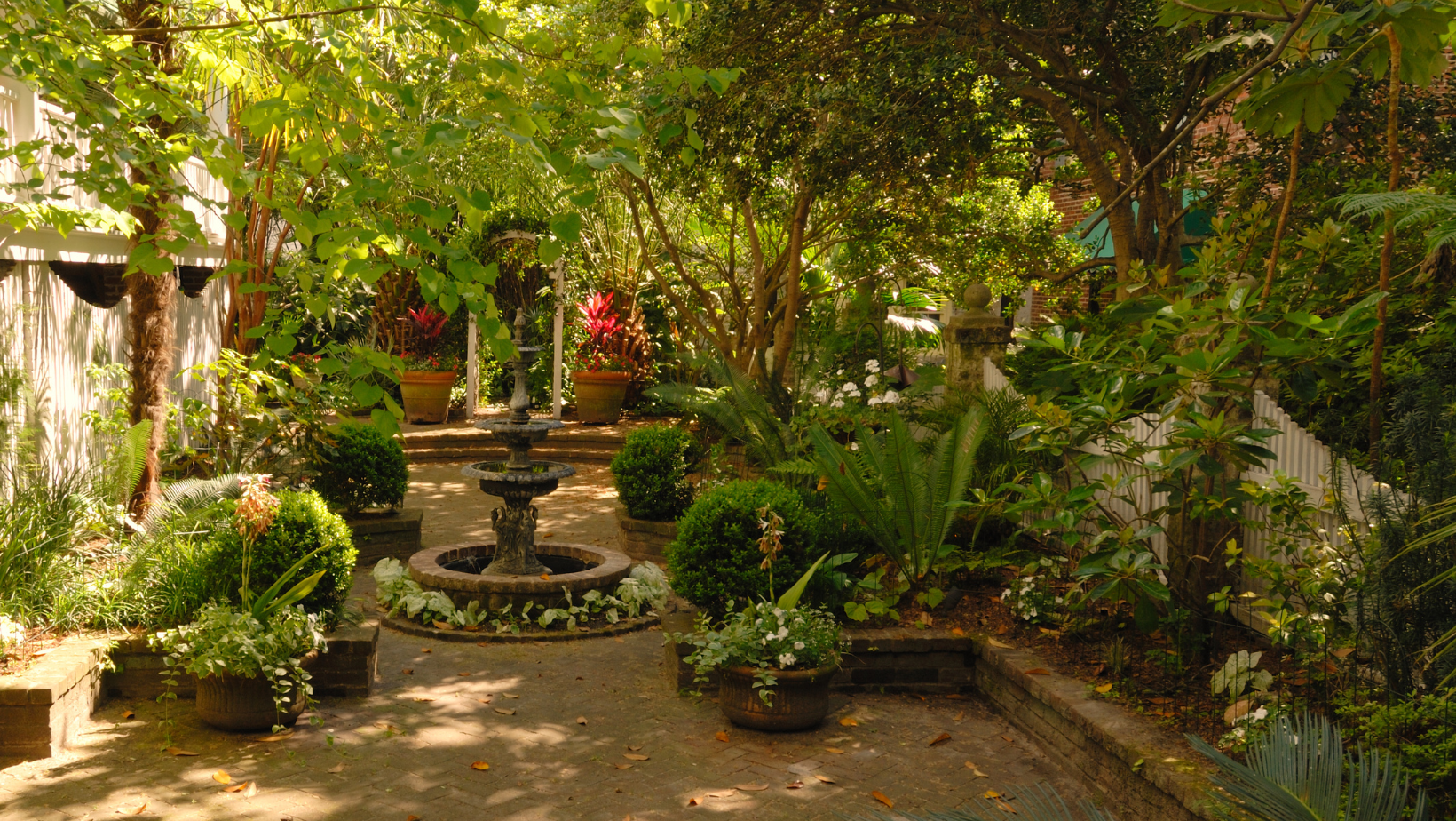 Gardening for Wildlife: Your Complete Guide on Urban Conservation